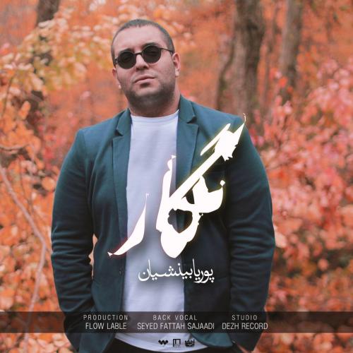 دانلود آهنگ نگار پوریا بینشیان